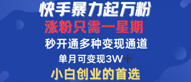 快手暴力起万粉，涨粉只需一星期，多种变现模式，直接秒开万合，单月变现过W【揭秘】-梦想波浪