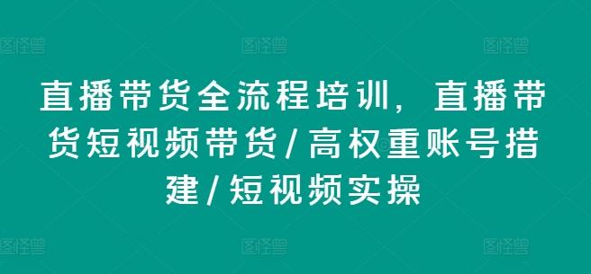 直播带货全流程培训，直播带货短视频带货/高权重账号措建/短视频实操-梦想波浪