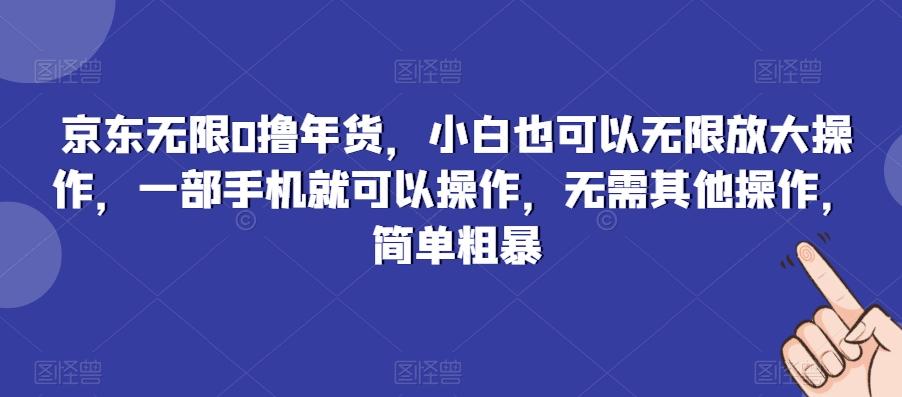 京东无限0撸年货，小白也可以无限放大操作，一部手机就可以操作，无需其他操作，简单粗暴-梦想波浪