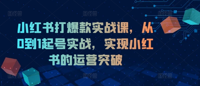 小红书打爆款实战课，从0到1起号实战，实现小红书的运营突破-梦想波浪