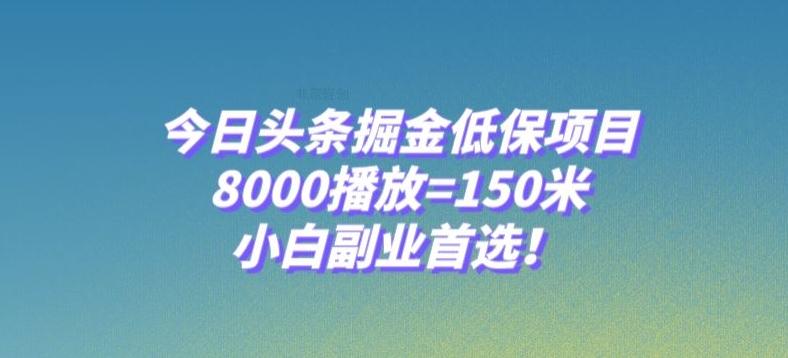 今日头条掘金低保项目，8000播放=150米，小白副业首选【揭秘】-梦想波浪