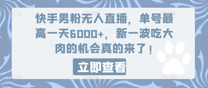 快手男粉无人直播，单号最高一天6000+，新一波吃大肉的机会真的来了-梦想波浪