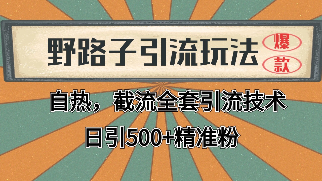 抖音小红书视频号全平台引流打法，全自动引流日引2000+精准客户-梦想波浪
