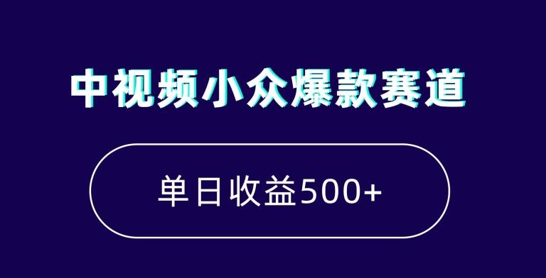 中视频小众爆款赛道，7天涨粉5万+，小白也能无脑操作，轻松月入上万【揭秘】-梦想波浪