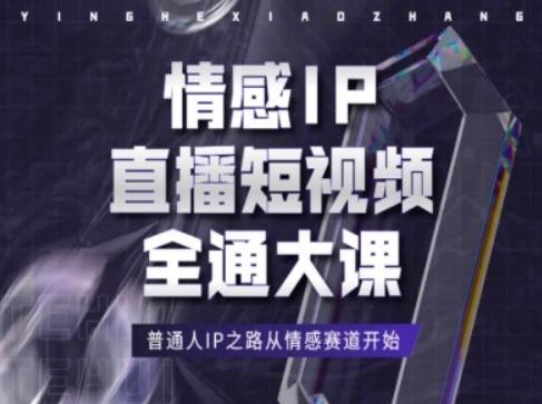 情感IP直播短视频全通大课，普通人IP之路从情感赛道开始-梦想波浪