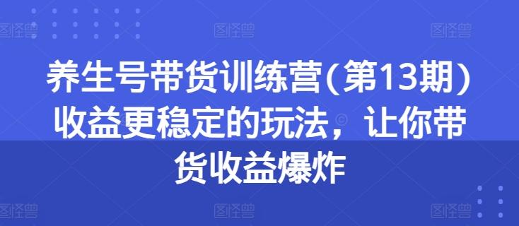 养生号带货训练营(第13期)收益更稳定的玩法，让你带货收益爆炸-梦想波浪