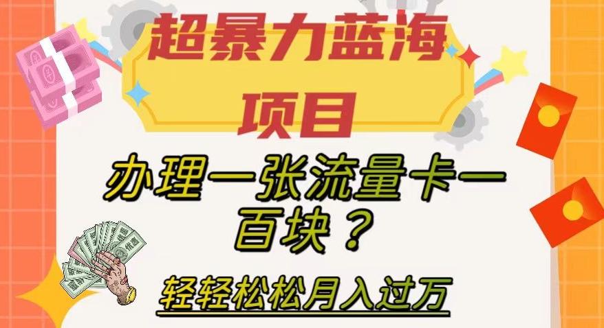 超暴力蓝海项目，办理一张流量卡一百块？轻轻松松月入过万，保姆级教程【揭秘】-梦想波浪