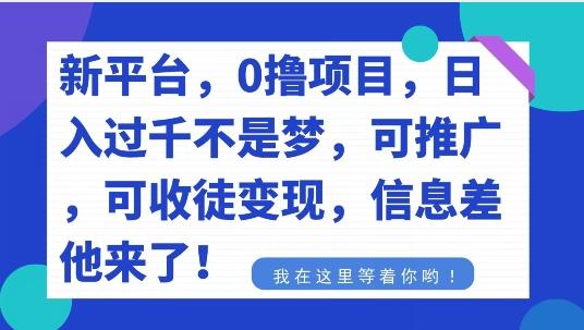 不要再花冤枉钱了，0撸项目，每天坚持，稳定1000+-梦想波浪