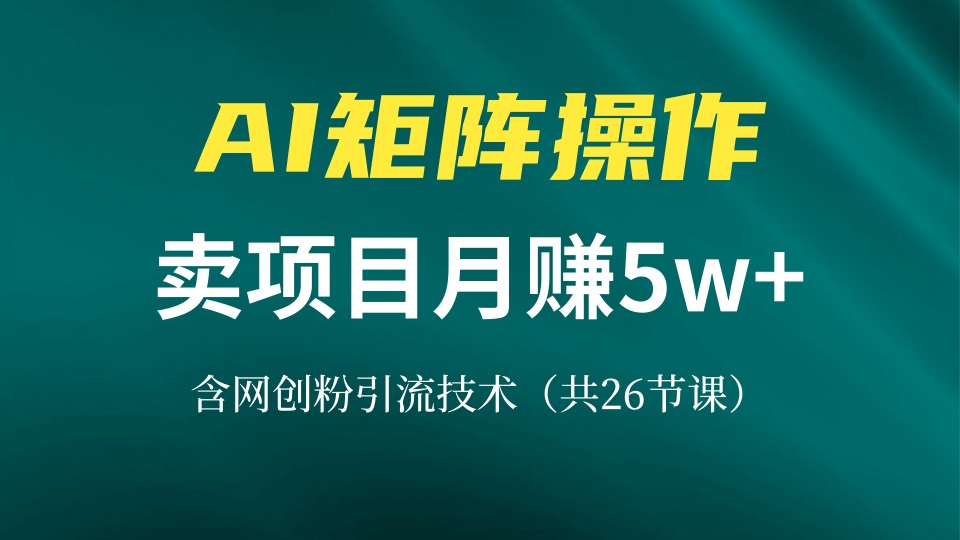 网创IP打造课，借助AI卖项目月赚5万+，含引流技术(共26节课-梦想波浪