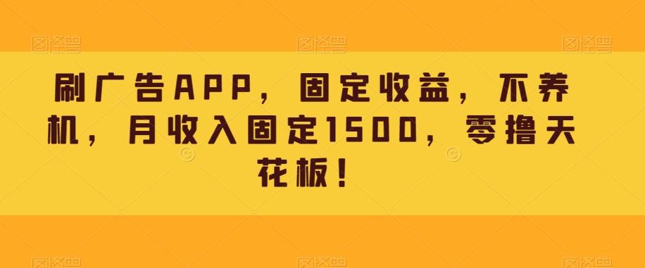 刷广告APP，固定收益，不养机，月收入固定1500，零撸天花板！-梦想波浪