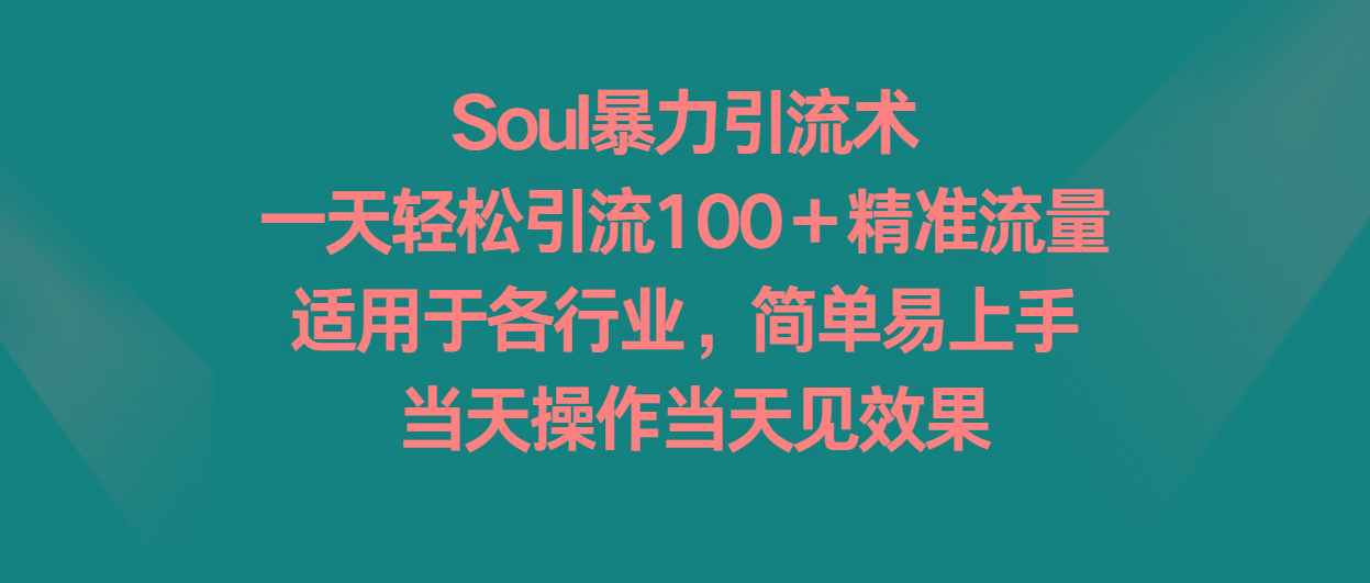 Soul暴力引流术，一天轻松引流100＋精准流量，适用于各行业，简单易上手！-梦想波浪
