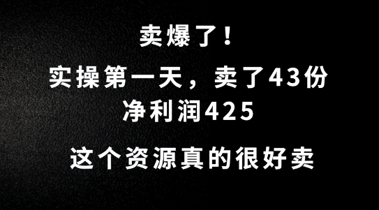 这个资源，需求很大，实操第一天卖了43份，净利润425【揭秘】-梦想波浪
