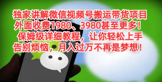 独家讲解微信视频号搬运带货项目，保姆级详细教程-梦想波浪