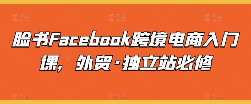 脸书Facebook跨境电商入门课，外贸·独立站必修-梦想波浪