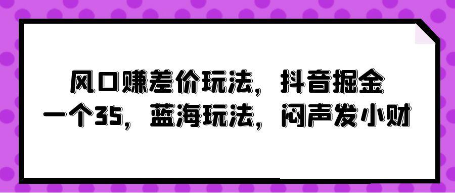 (10022期)风口赚差价玩法，抖音掘金，一个35，蓝海玩法，闷声发小财-梦想波浪