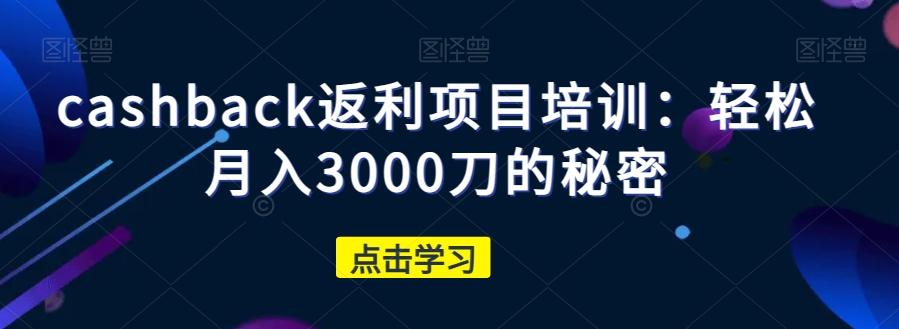 cashback返利项目培训：轻松月入3000刀的秘密-梦想波浪