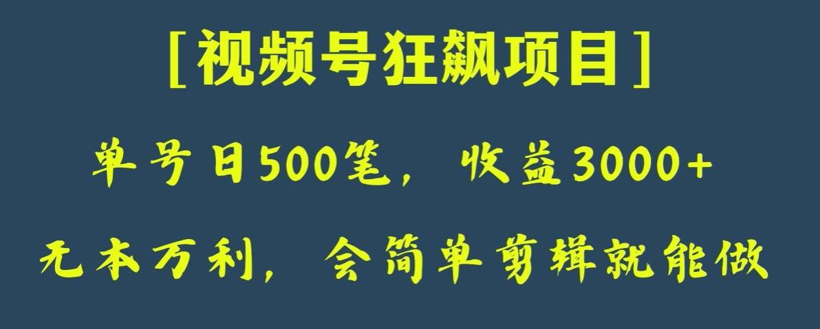 日收款500笔，纯利润3000+，视频号狂飙项目，会简单剪辑就能做【揭秘】-梦想波浪