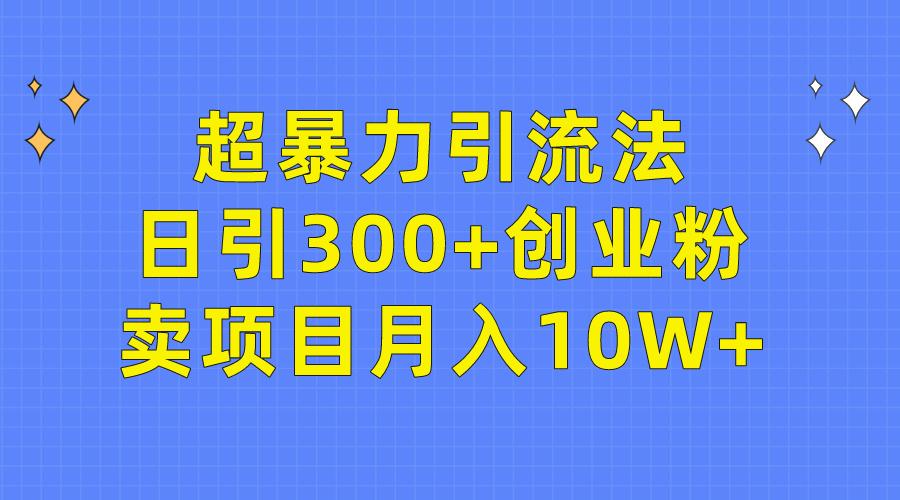 (9954期)超暴力引流法，日引300+创业粉，卖项目月入10W+-梦想波浪