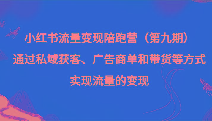 小红书流量变现陪跑营（第九期）通过私域获客、广告商单和带货等方式实现流量变现-梦想波浪