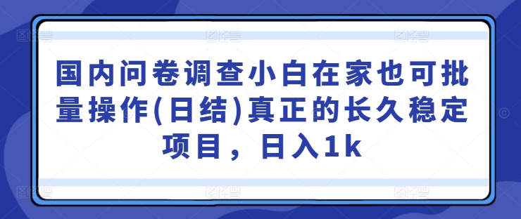 国内问卷调查小白在家也可批量操作(日结)真正的长久稳定项目，日入1k【揭秘】-梦想波浪