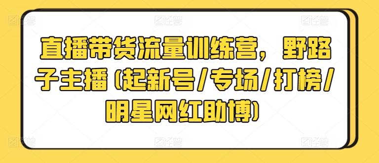 直播带货流量训练营，野路子主播(起新号/专场/打榜/明星网红助博)-梦想波浪