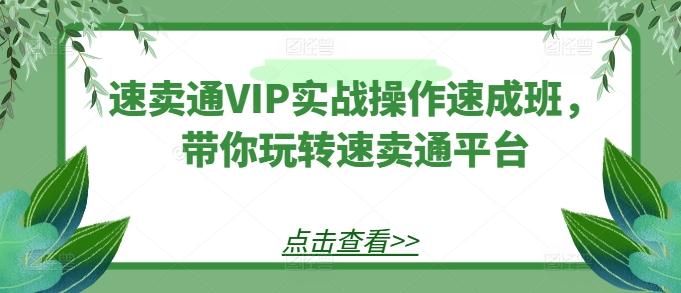 速卖通VIP实战操作速成班，带你玩转速卖通平台-梦想波浪