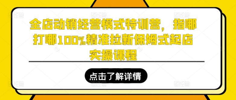 全店动销经营模式特训营，指哪打哪100%精准拉新保姆式起店实操课程-梦想波浪
