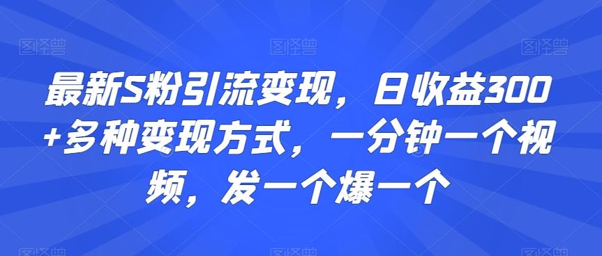 最新S粉引流变现，日收益300+多种变现方式，一分钟一个视频，发一个爆一个【揭秘】-梦想波浪
