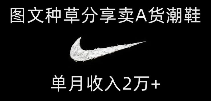 靠图文种草分享卖A货潮鞋，每天一小时，单月收入2万+【揭秘】-梦想波浪