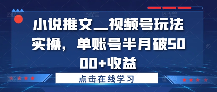 小说推文—视频号玩法实操，单账号半月破5000+收益-梦想波浪