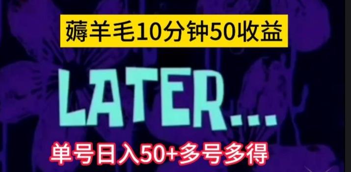 美团薅羊毛玩法，单号日入50+多号多得【仅揭秘】-梦想波浪