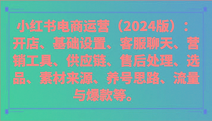 小红书电商运营(2024版)：开店、设置、供应链、选品、素材、养号、流量与爆款等-梦想波浪