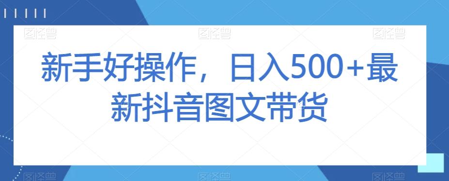 新手好操作，日入500+最新抖音图文带货【揭秘】-梦想波浪