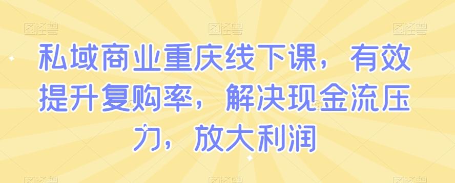 私域商业重庆线下课，有效提升复购率，解决现金流压力，放大利润-梦想波浪