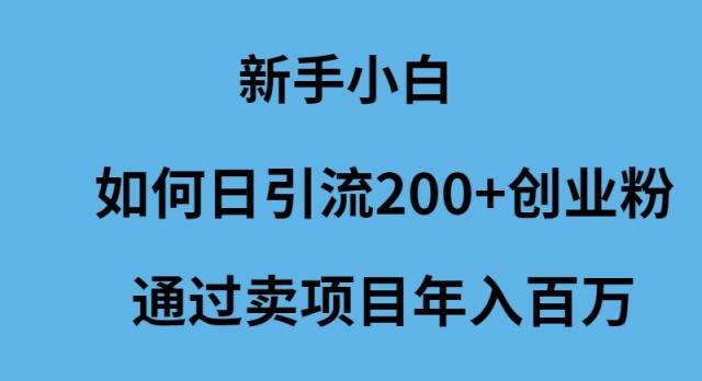 (9668期)新手小白如何日引流200+创业粉通过卖项目年入百万-梦想波浪