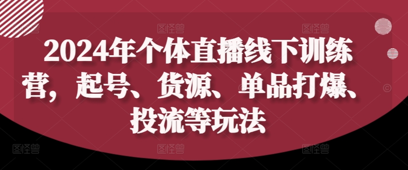 2024年个体直播训练营，起号、货源、单品打爆、投流等玩法-梦想波浪