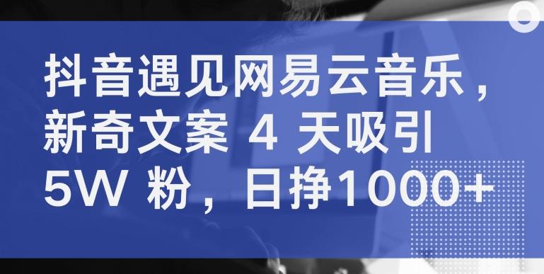 抖音遇见网易云音乐,新奇文案 4 天吸引 5W 粉,日挣1000+【揭秘】-梦想波浪