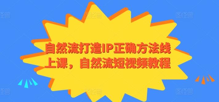 自然流打造IP正确方法线上课，自然流短视频教程-梦想波浪