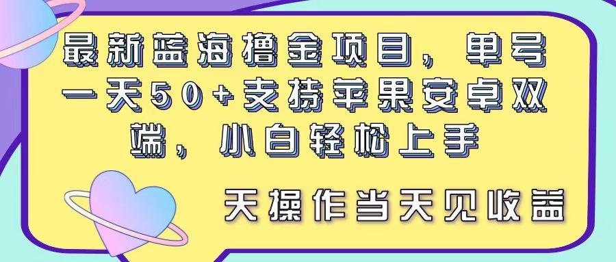 最新蓝海撸金项目，单号一天50+， 支持苹果安卓双端，小白轻松上手 当…-梦想波浪