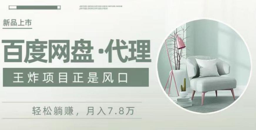 度盘代理,月入7w保姆级全方位教程-梦想波浪