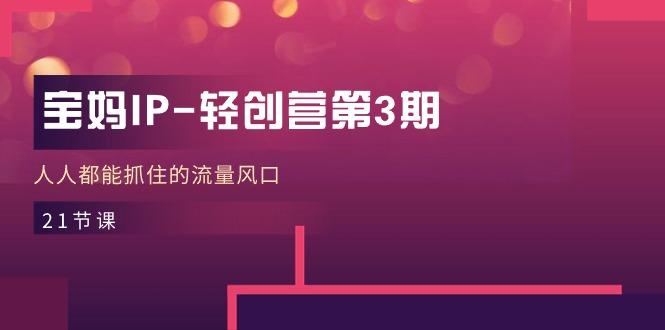 宝妈IP-轻创营第3期,人人都能抓住的流量风口(21节课-梦想波浪