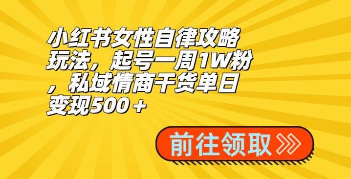 小红书女性自律攻略玩法，起号一周1W粉，私域情商干货单日变现500＋-梦想波浪