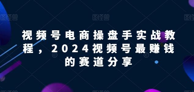 视频号电商实战教程，2024视频号最赚钱的赛道分享-梦想波浪