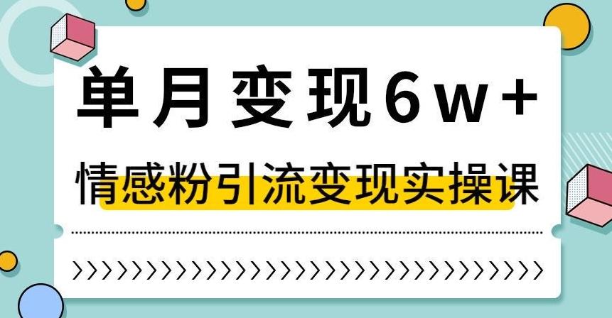 单月变现6W+，抖音情感粉引流变现实操课，小白可做，轻松上手，独家赛道【揭秘】-梦想波浪