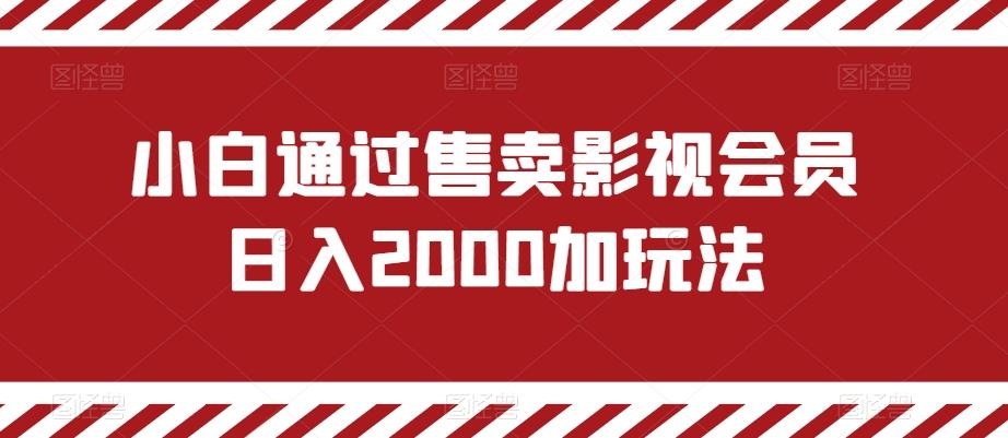 小白通过售卖影视会员日入2000加玩法-梦想波浪
