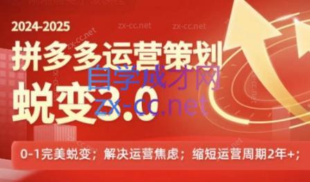 大力老师·2024拼多多运营策略蜕变3.0-梦想波浪