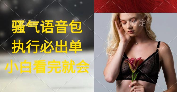 (9589期)执行就出单，日入2000+，超火骚气语音包，小白看完课程就能马上实操-梦想波浪