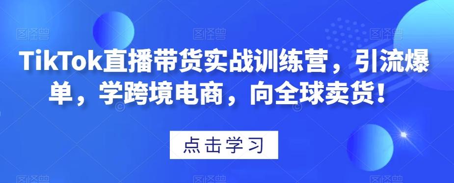 TikTok直播带货实战训练营,引流爆单,学跨境电商,向全球卖货!-梦想波浪