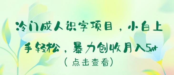 冷门成人识字项目，小白上手轻松，暴力创收月入5w+【揭秘】-梦想波浪