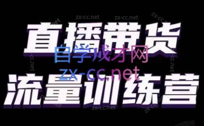 婉婉·直播带货课程系列合集(更新8月)-梦想波浪